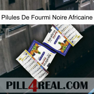 African Black Ant Pills 12